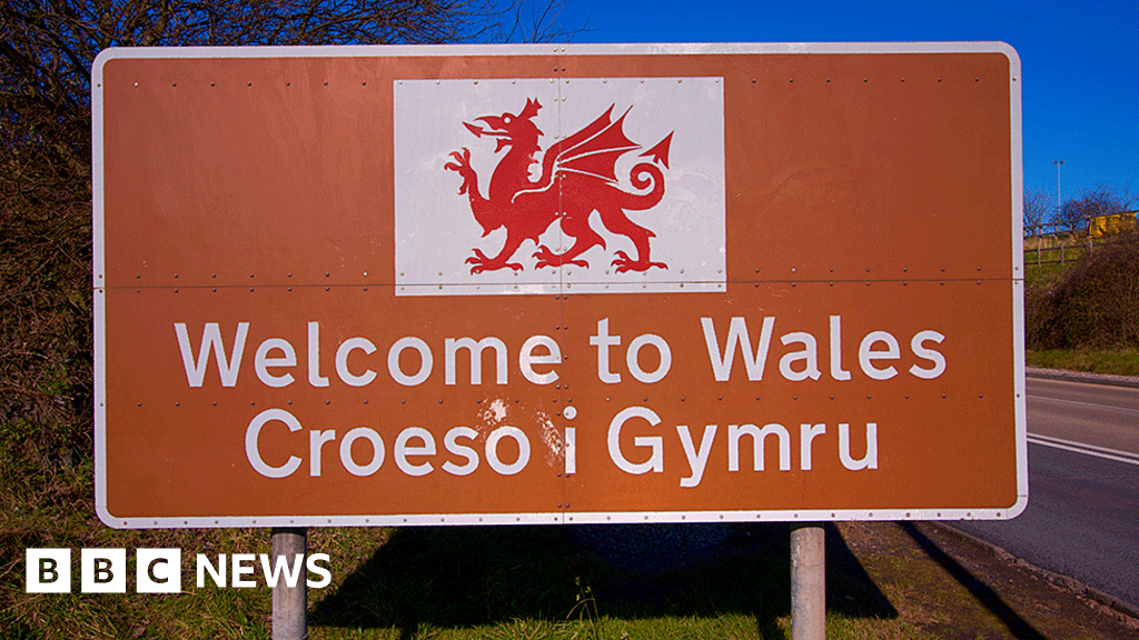 Welsh election not about independence, Plaid Cymru candidate says