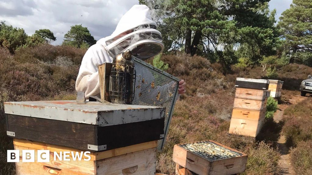 Cranfield scientists detect fake honey without opening the jar