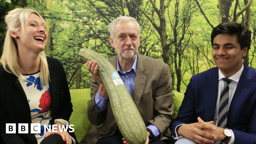 Corbyn attacks Rayner for selling off allotments