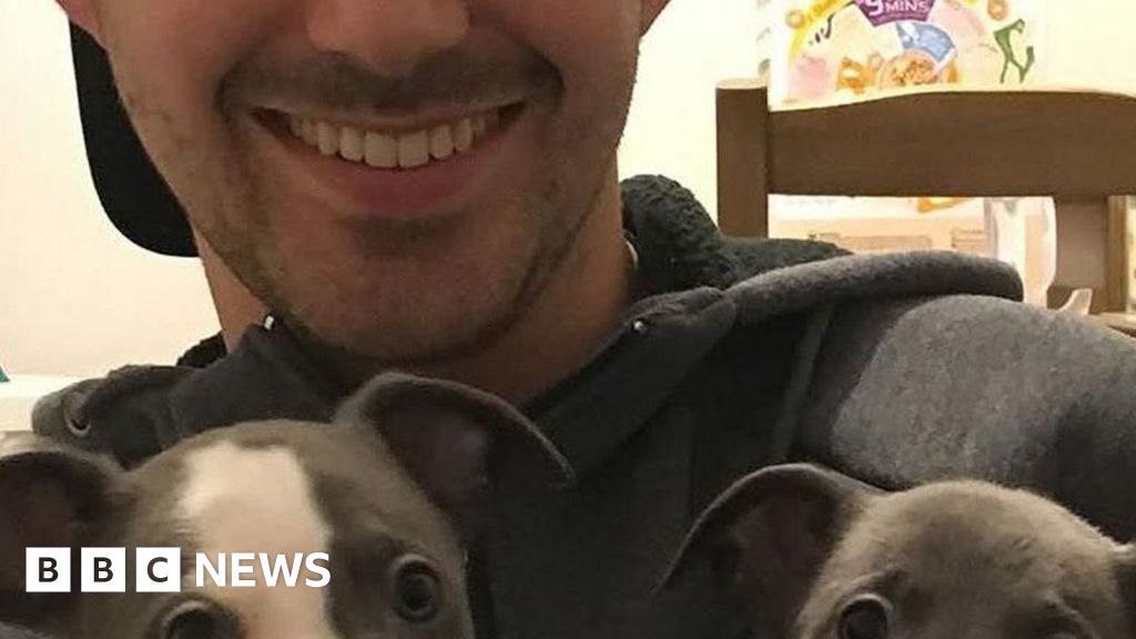 Dog owners warned about hidden dangers of Alabama rot