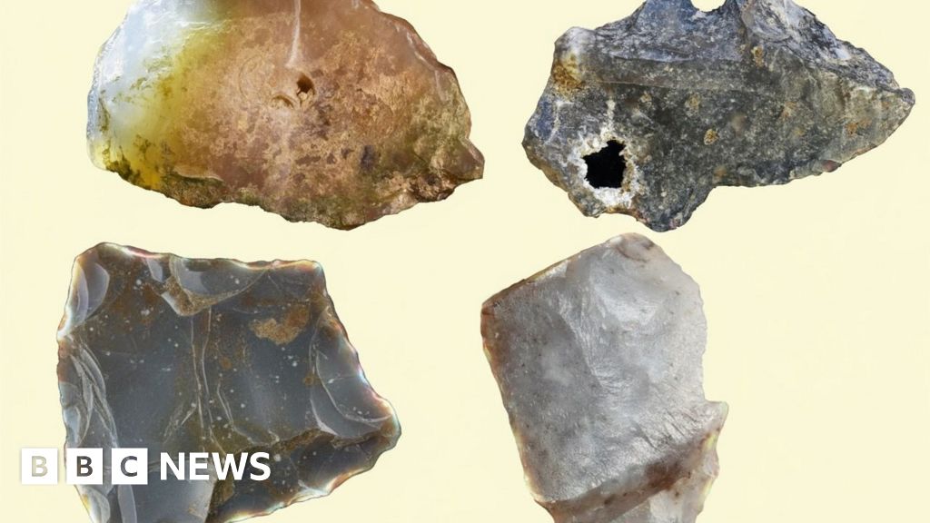 Stone tool discovery suggests very first humans were inventors