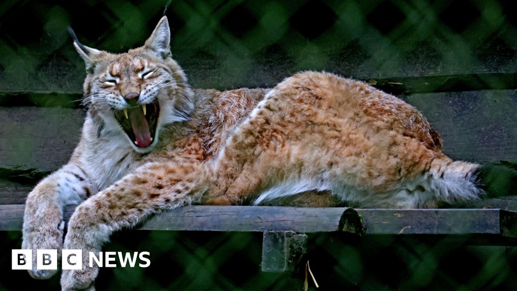 b93abb20-2028-11f0-8ff6-