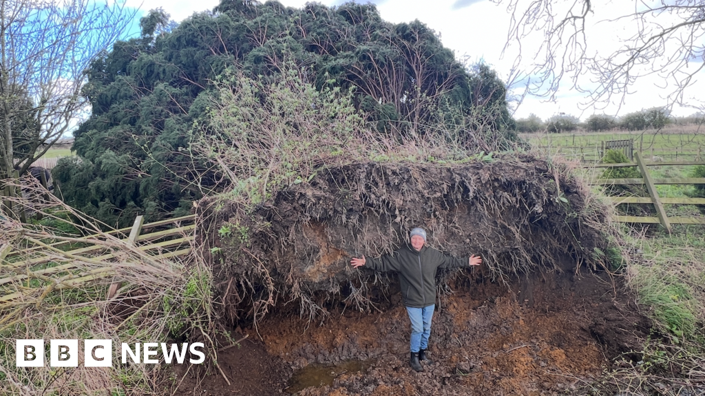 bbc.co.uk - Sarah-May Buccieri - The wind sounded like a train going over my house