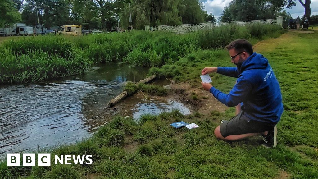 ‘Alarming’ chemical levels found in East of England rivers