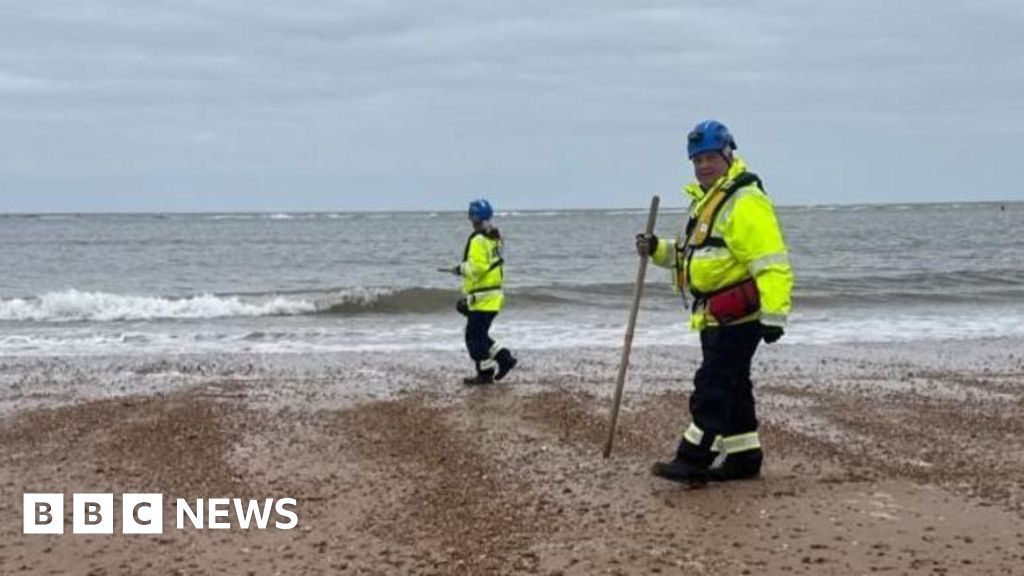 Plastic 'nurdles' washed up after ship collision