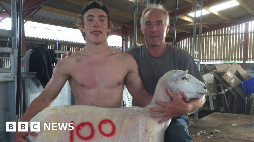 From Sheep Shearing to WWE: Dorset Farmer Joins US Wrestling - News Directory 3
