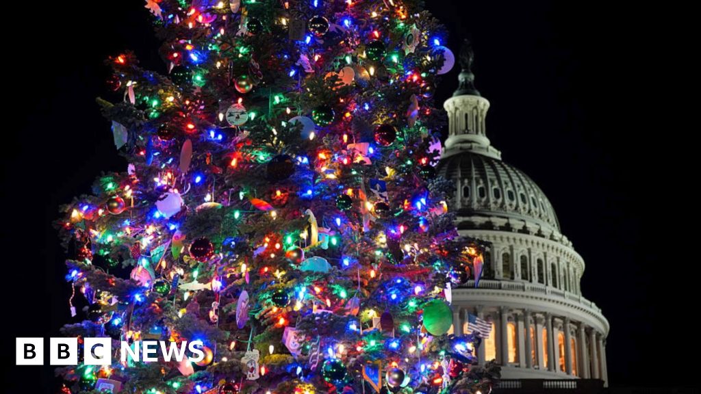 Watch: US Capitol Christmas tree is lit up in Washington DC