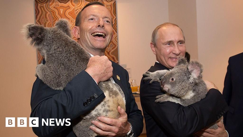 A wildlife park has banned koala cuddles. Will others follow?