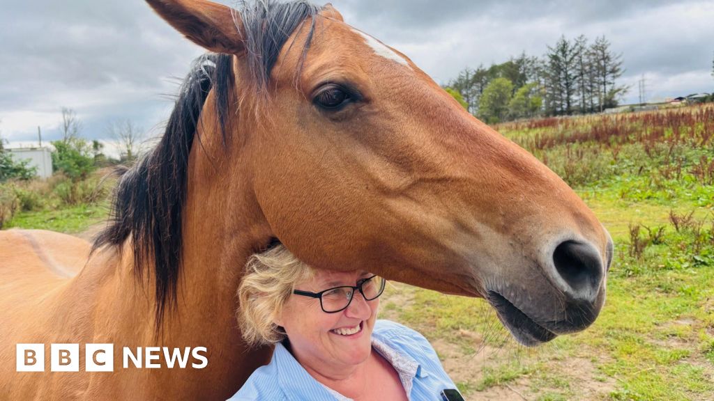 「私たちは動物のための永遠の家です」