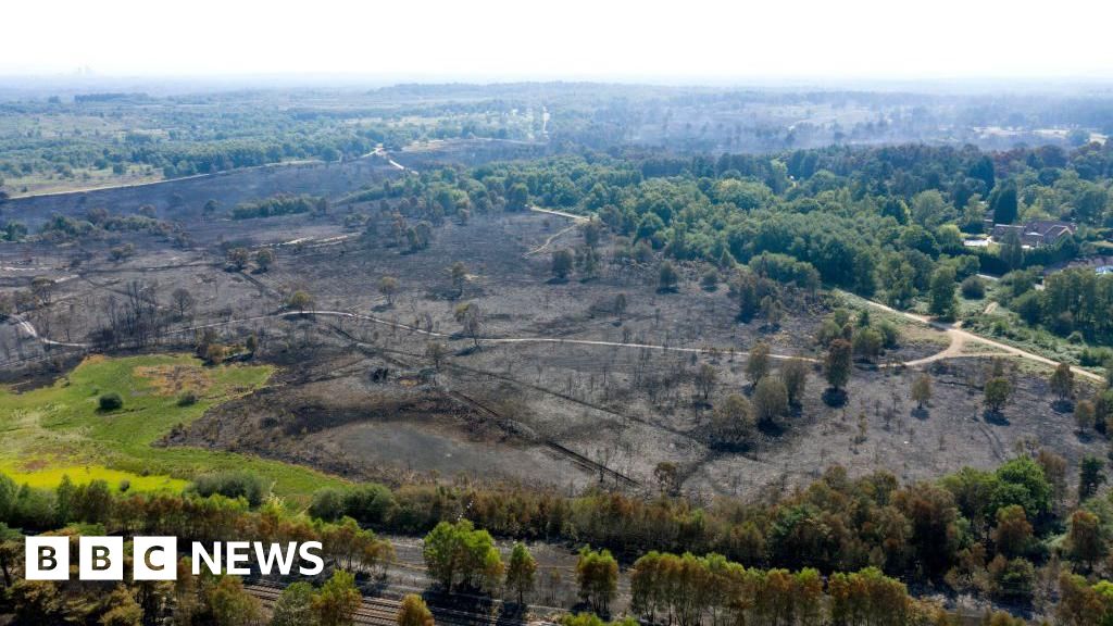 Multiple UK Fire Services Issue Extreme Wildfire Warnings Amid Extended Dry Spell