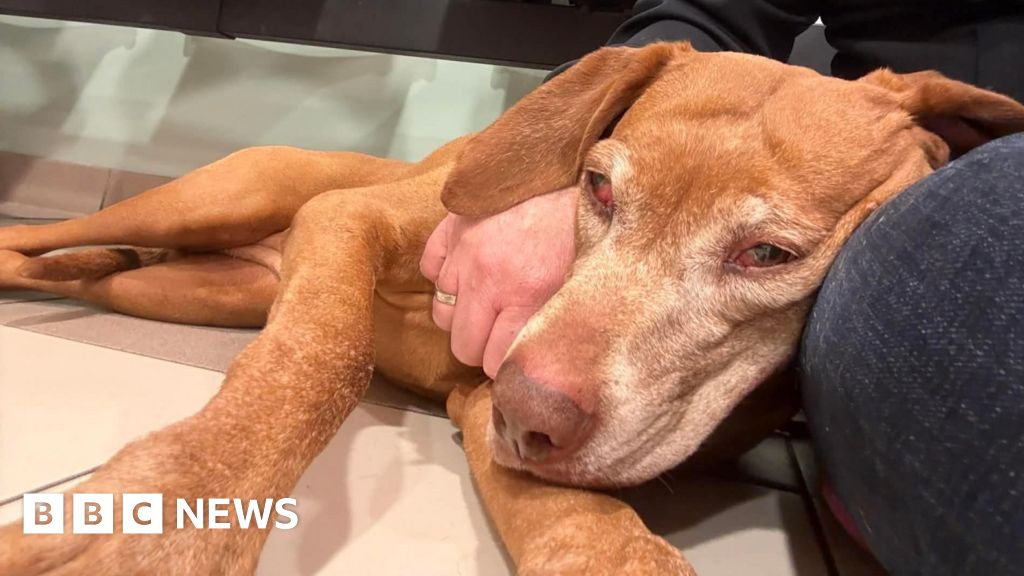 bbc.co.uk - Wearside stories you might have missed this week - BBC News