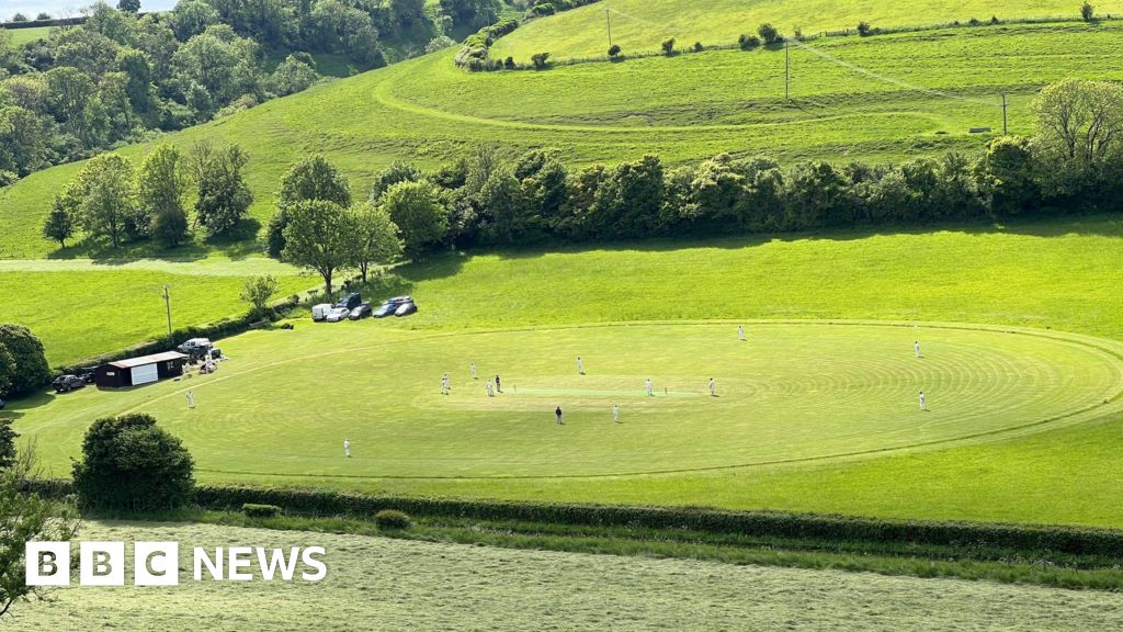 Cheselbourne Cricket Club under threat amid player shortage