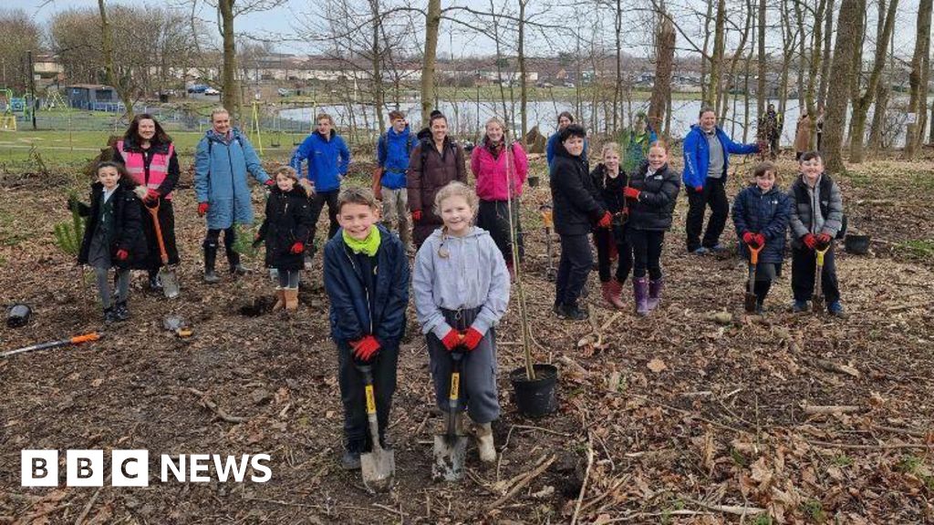 Trees planted in North Tyneside park to replace dying plants