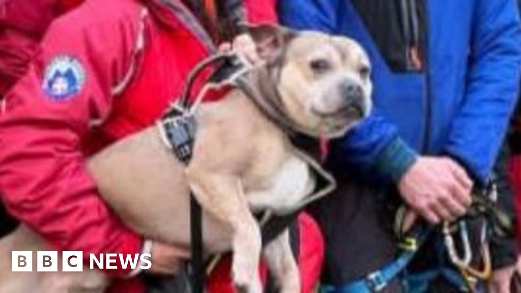 Coniston rescue after dog falls down Red Dell mine shaft