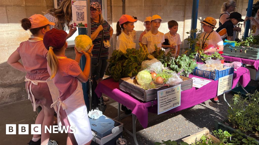 bbc.co.uk - Steve Knibbs - Stroud children grow and sell own food at local market