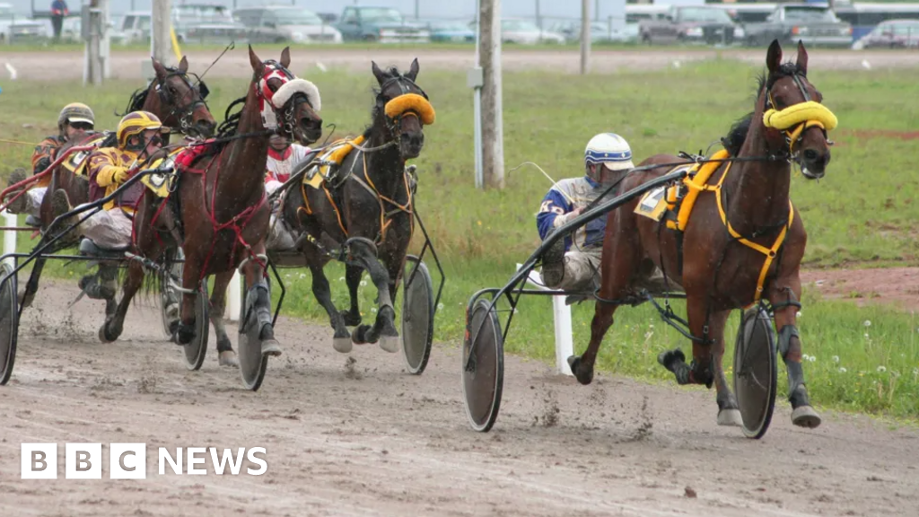 Scottish government intervenes in Bannockburn horse racing track row