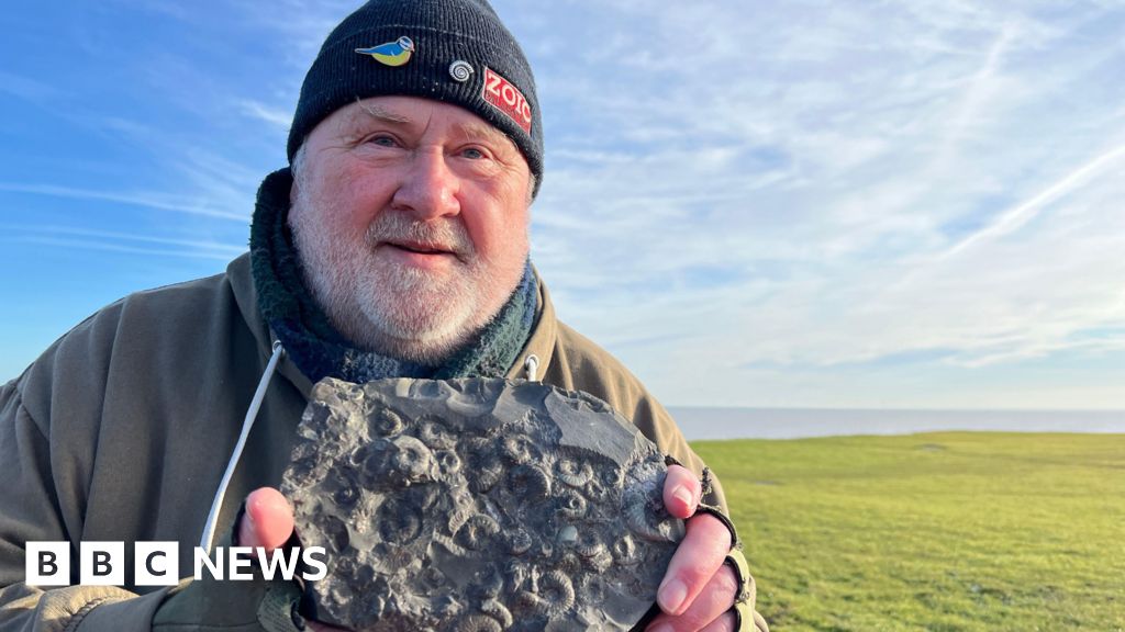 Yorkshire fossil hunters reveal 'wow factor' of Holderness coast