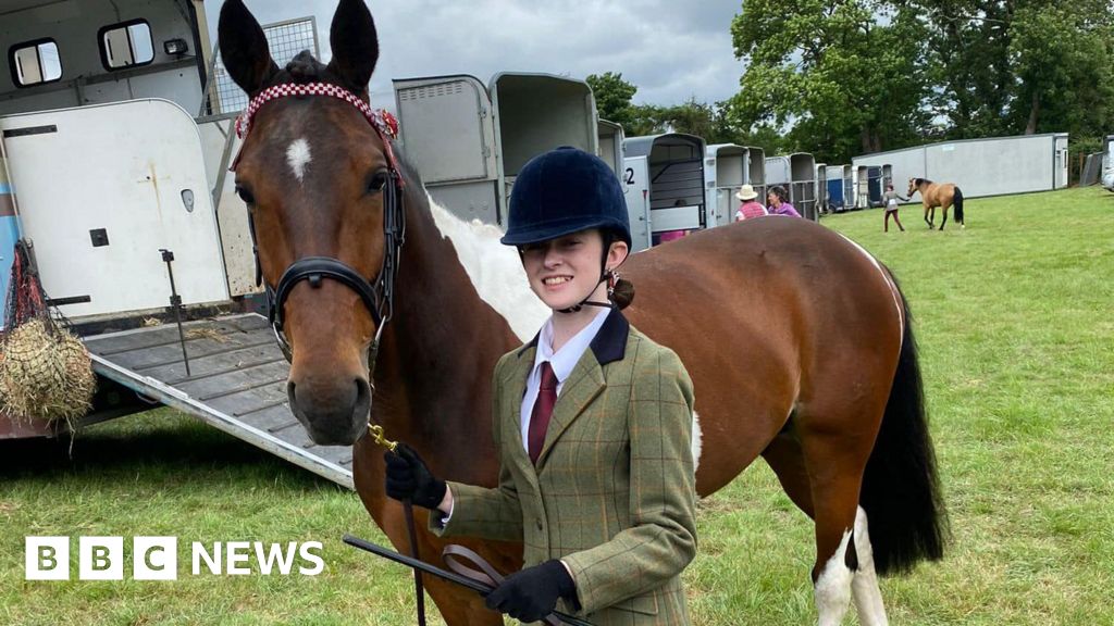 Horse ‘left to die’ is now prize-winning show pony
