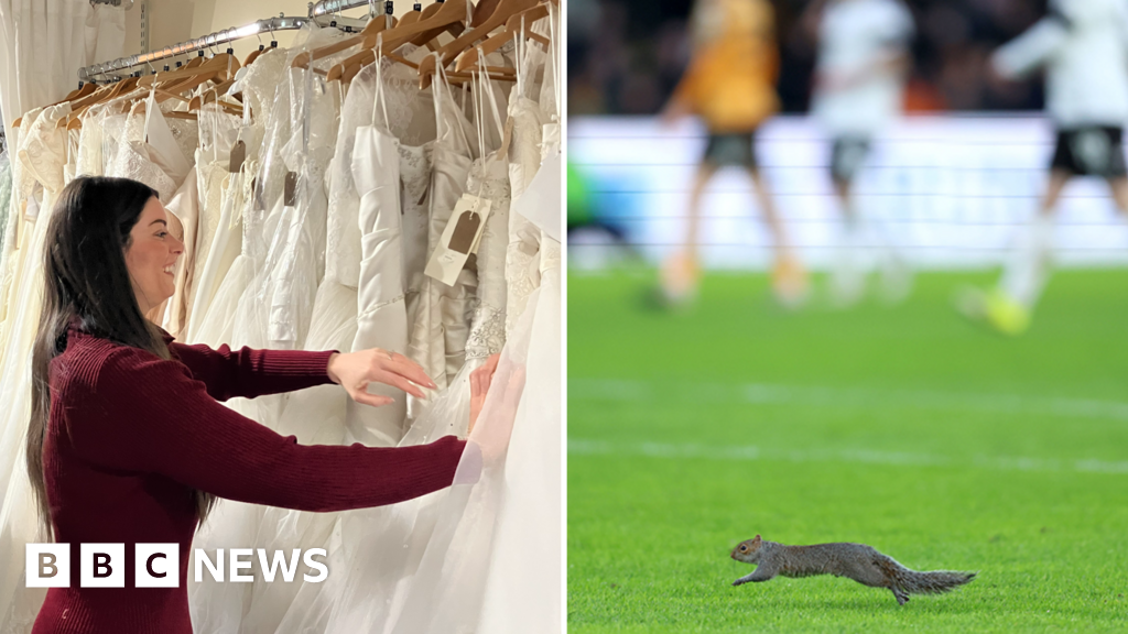 bbc.co.uk - Grace Wood - Positive news from Yorkshire to make you smile - 15 February 2026