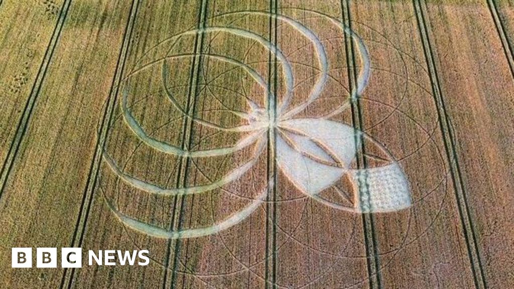 Farmers facing losses over crop circle damage