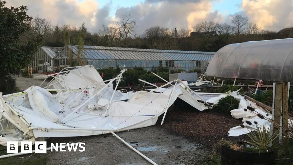 Storm Goretti damage at Cornwall garden 'will take months to fix"