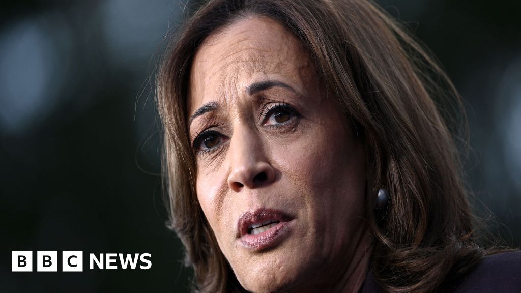 Harris tells supporters 'never give up' and urges peaceful transfer of power