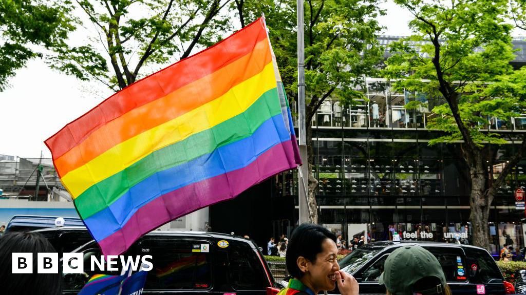 Japan's same-sex marriage ban is constitutional, says Tokyo court