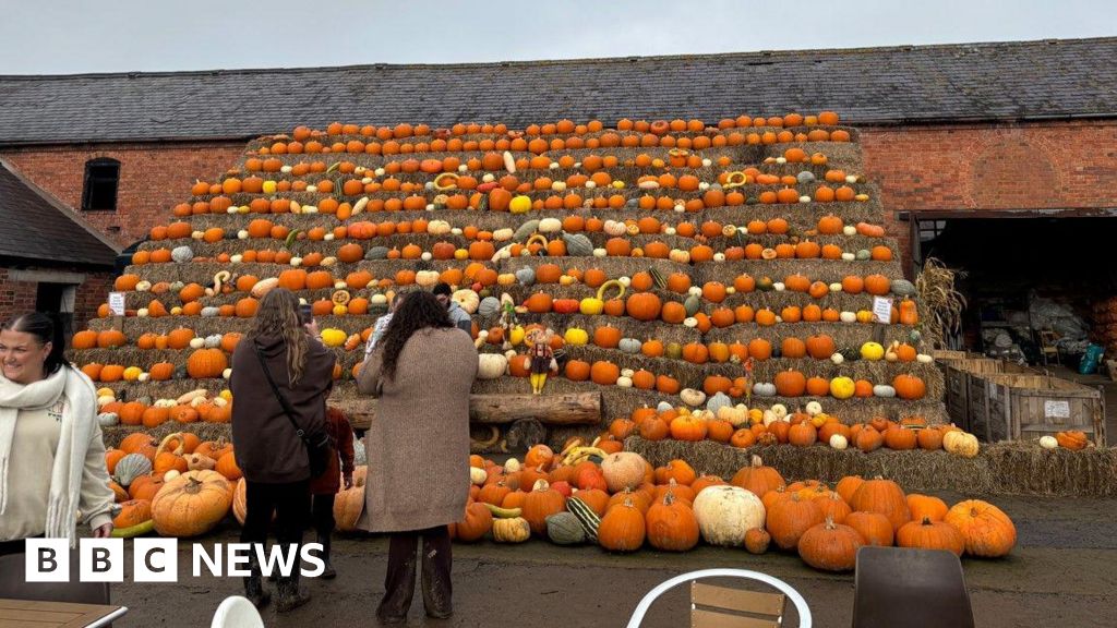 bbc.co.uk - Tim Page - Farm near Oswestry says pumpkin harvest is worst in 25 years - BBC News