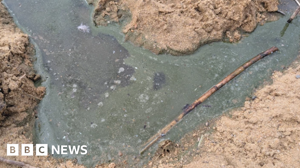 Multiple US Lakes Under Blue-Green Algae Health Warnings