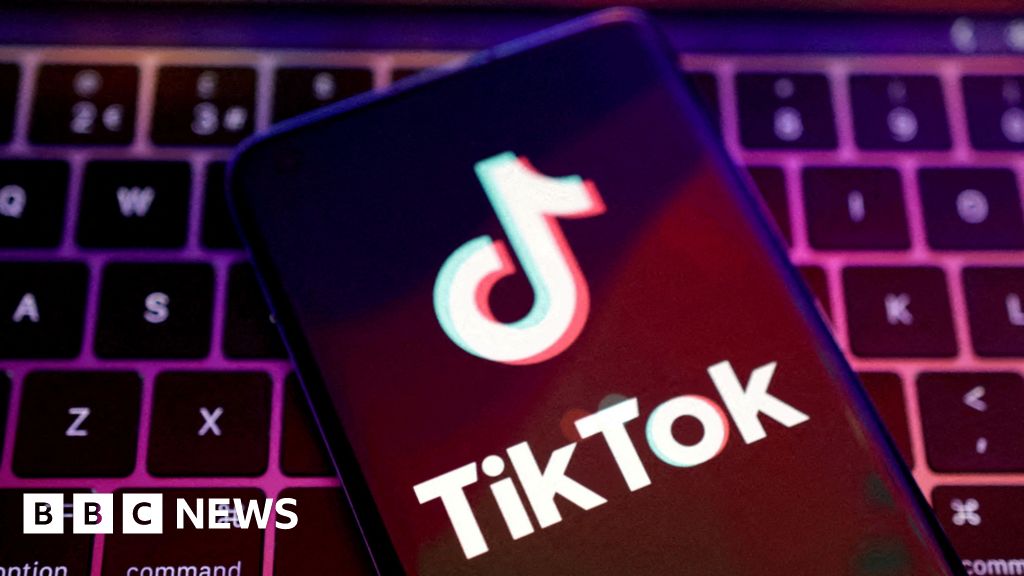 TikTok says cyber-attack hit model and celeb accounts