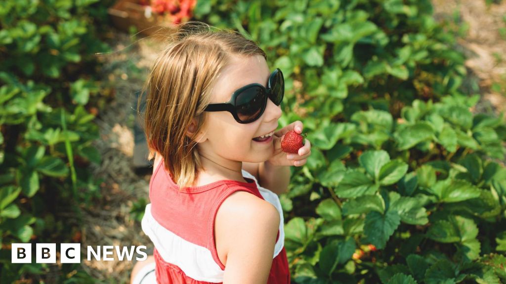 Is it OK to try before you buy at a pick-your-own farm?