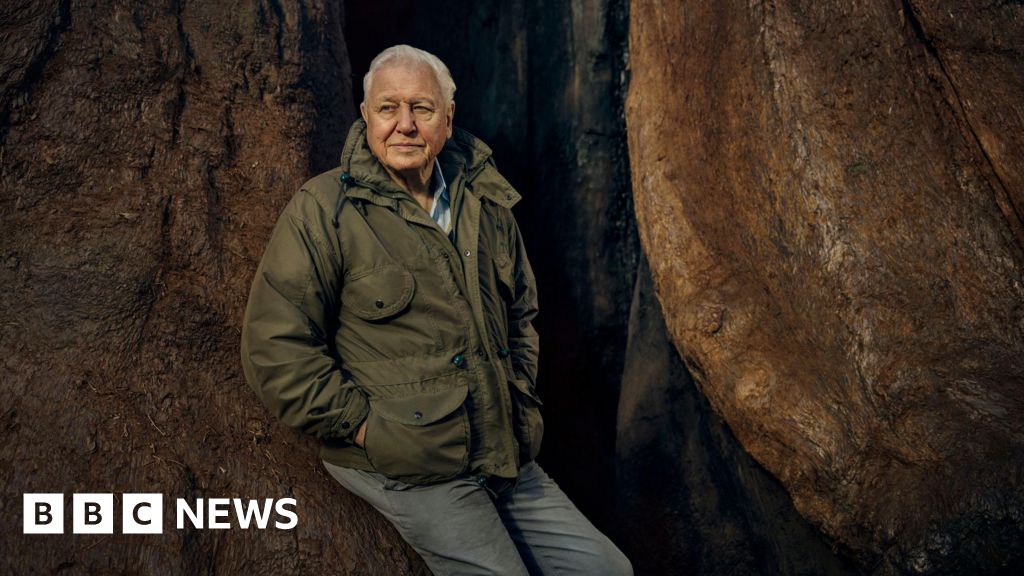 Celebrating David Attenborough: A Zoo Inspiring Future Generations