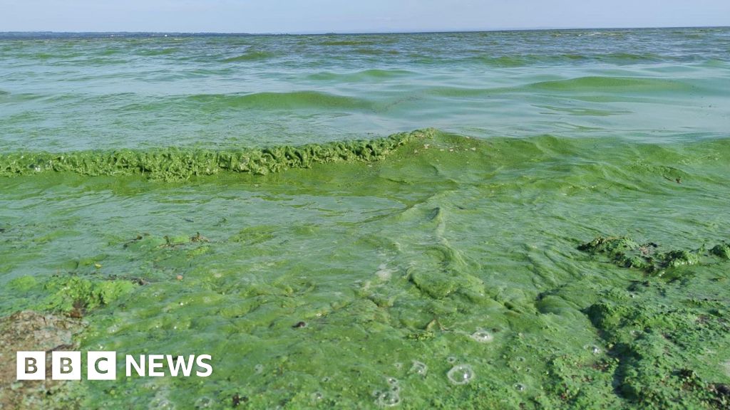 'Significant change' needed to tackle agri pollution