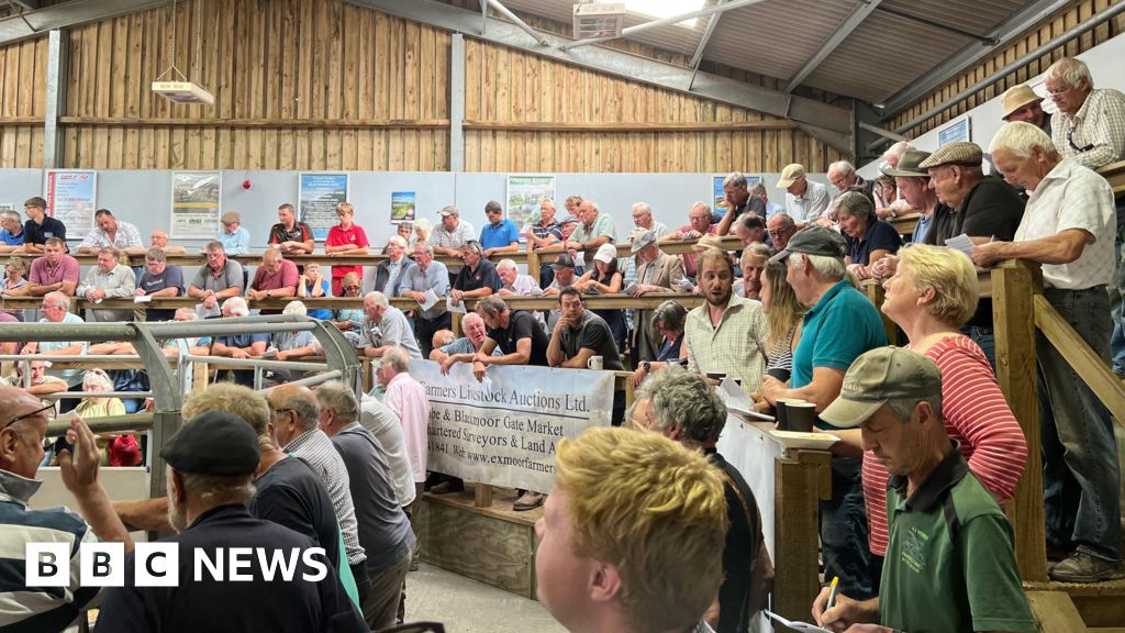 bbc.co.uk - Ross Pollard - Exmoor market health hub helping farmers discover hidden conditions
