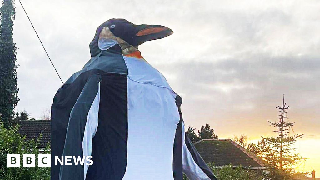 Big penguin adorns Prickwillow village phone box for Christmas