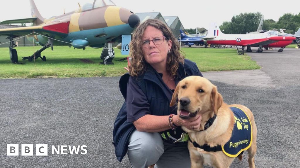bbc.co.uk - Katie Radley - Electric vehicles posing challenges for guide dog puppies