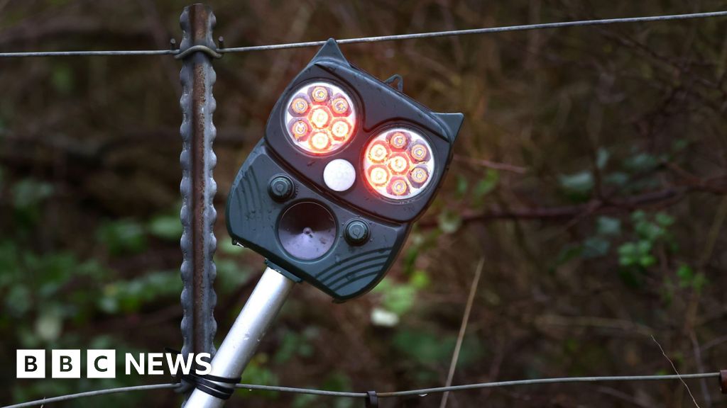 AI technology keeps 6,000 deer from Grantham and Stoke rail lines