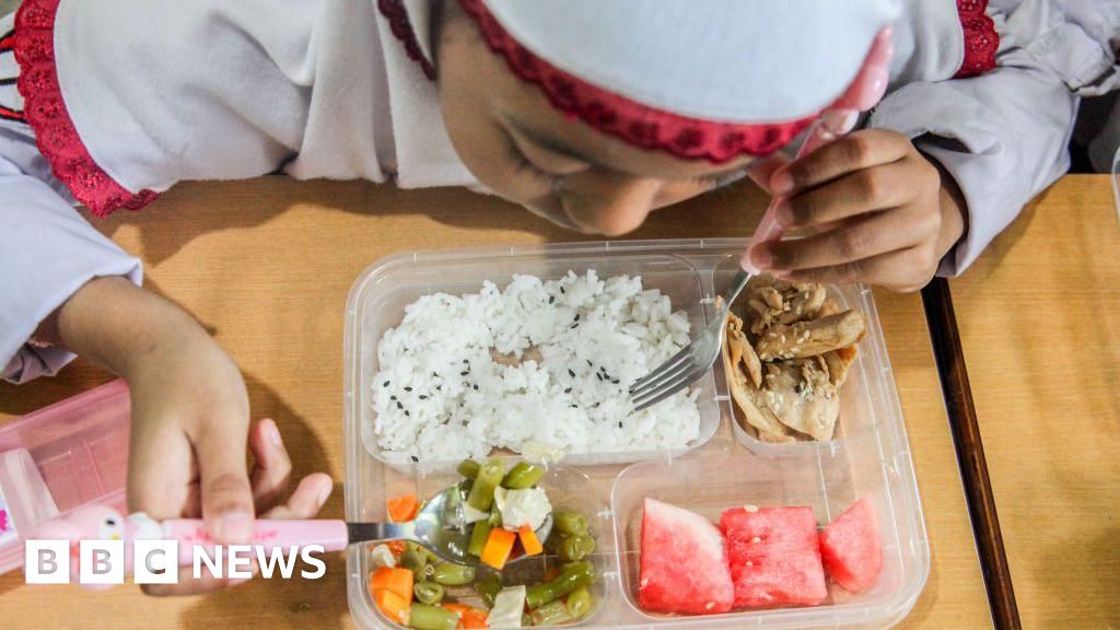 More than 300 ill in Indonesia after eating free school lunches