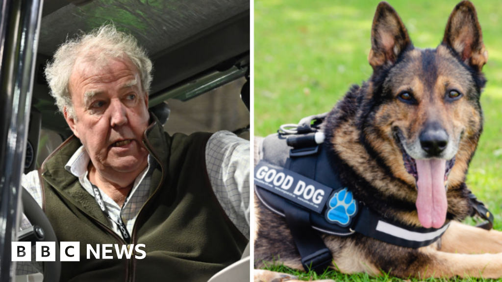 Clarkson for PM, attacks on police dogs: Do Parliament petitions make a difference?