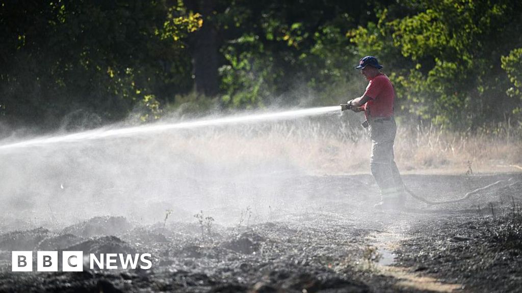 Urban wildfire risk rising due to hot dry summers, scientists warn