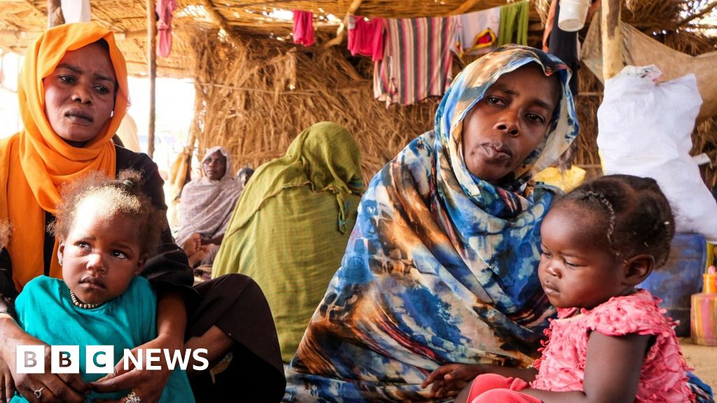 Fear of mass killings as thousands trapped in besieged Sudan city taken by militia group