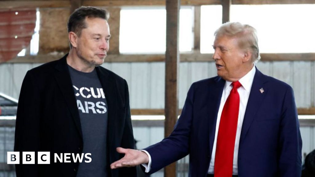 Donald Trump picks Elon Musk for US government cost-cutting role