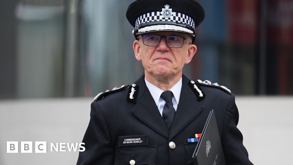 Met chief apologises for 'reprehensible' behaviour of police officers
