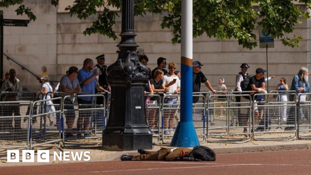 Army soldier collapses during state visit rehearsals in London