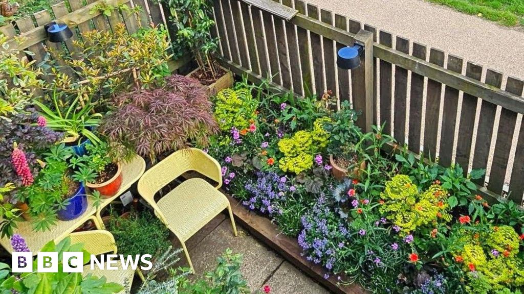 bbc.co.uk - Grace Wood - Tiny garden in Saltaire wins BBC Gardeners' World award