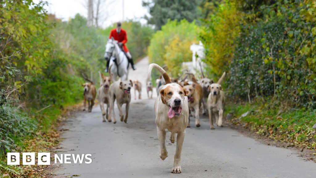 Trail hunt ban moves closer as consultation begins