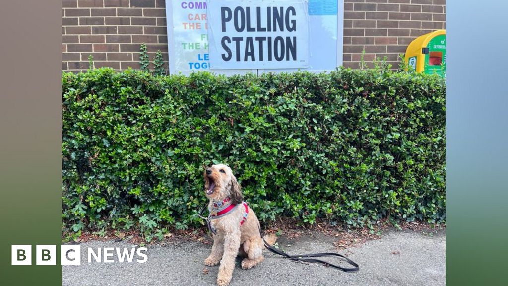 Essex polling stations close for general election