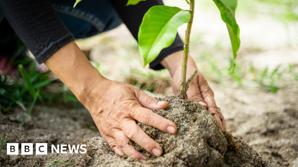 Funding for green community initiatives