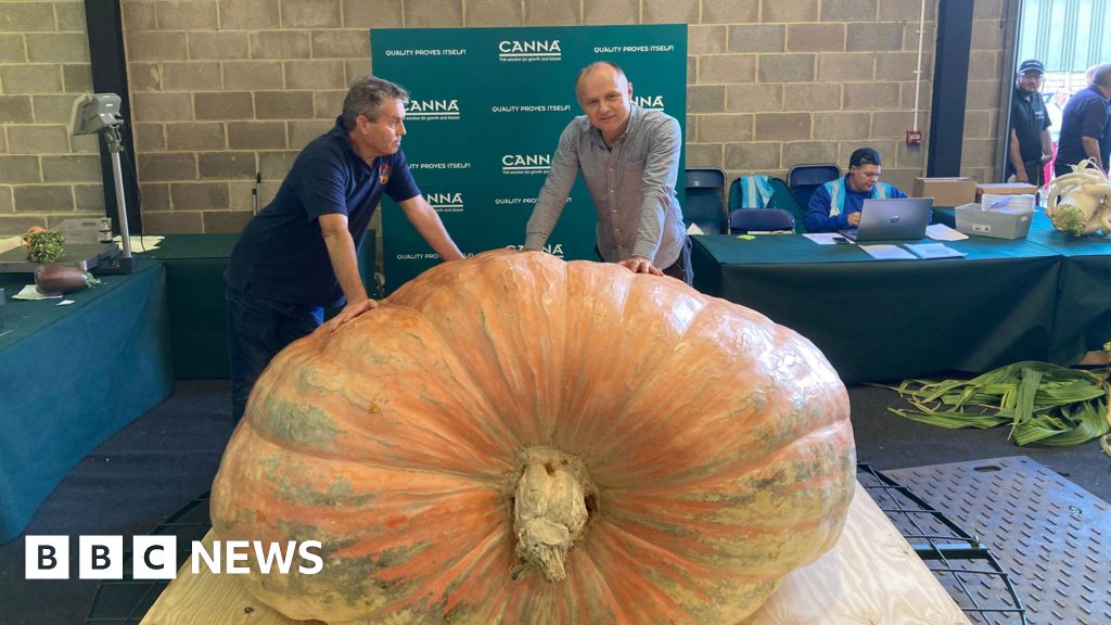 Malvern Autumn Show: Giant veg competitors grow for glory