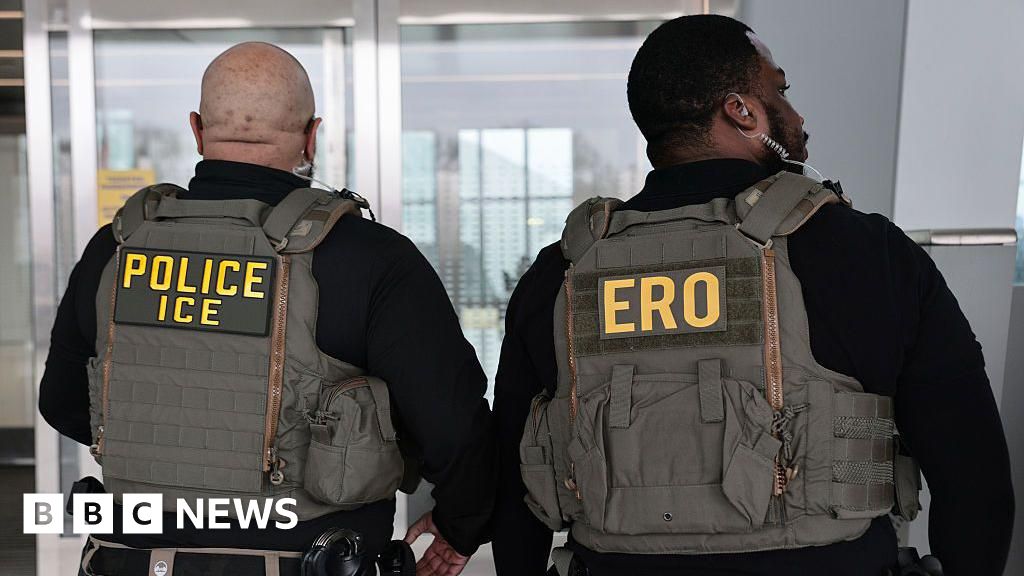 US immigration officers to get shock-delivering gloves